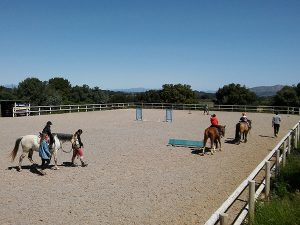 TROBADA AACIC A PERATALLADA I CELRA 2019