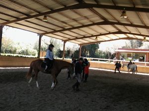 TROBADA AACIC A PERATALLADA I CELRA 2019