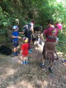 Senderisme al Niu de l'Àliga d'Alcover - Cromatic Sports