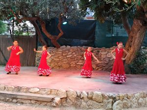Concert solidari per a les cardiopaties congènites a Torredembarra