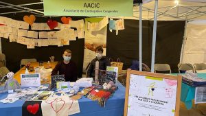 Fiesta de las Entidades Sociales de Tortosa 2021