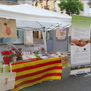 Sant Jordi 2023 . Parada en Tarragona