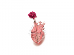 Ilustración digital Corazón de cristal - Sant Jordi 2023