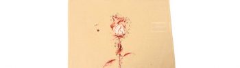Bossa beix Rosa Cor