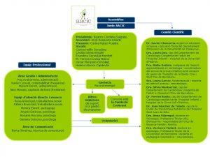 Organigrama de l'Associació de Cardiopaties Congènites (AACIC) - gener 2026