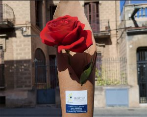 Parada de Sant Jordi en Barcelona, Horta
