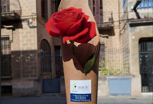 Rosa de Sant Jordi 2026 AACIC
